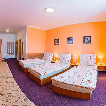 U Jezku Guest house 3*